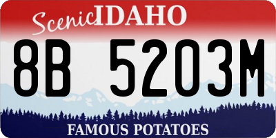 ID license plate 8B5203M