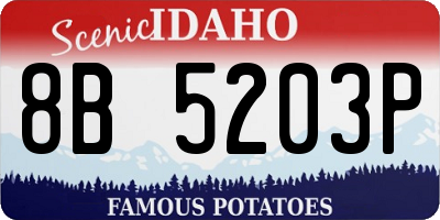 ID license plate 8B5203P