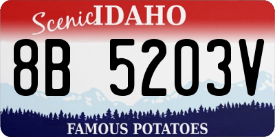 ID license plate 8B5203V
