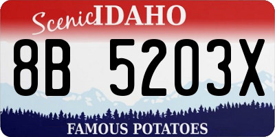 ID license plate 8B5203X