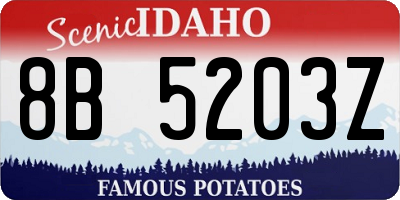 ID license plate 8B5203Z