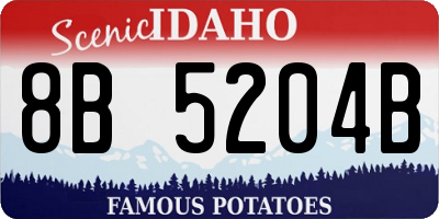 ID license plate 8B5204B