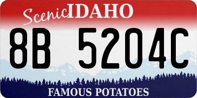 ID license plate 8B5204C