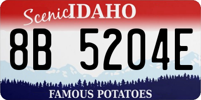 ID license plate 8B5204E