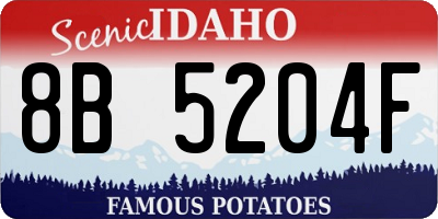 ID license plate 8B5204F