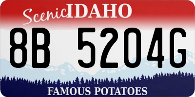 ID license plate 8B5204G