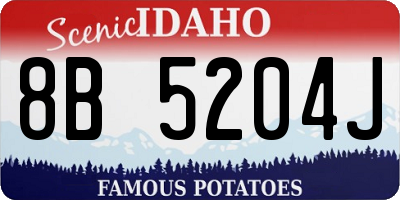 ID license plate 8B5204J