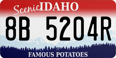 ID license plate 8B5204R