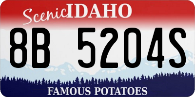 ID license plate 8B5204S