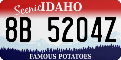 ID license plate 8B5204Z