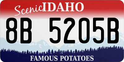 ID license plate 8B5205B