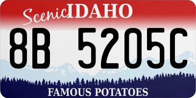 ID license plate 8B5205C