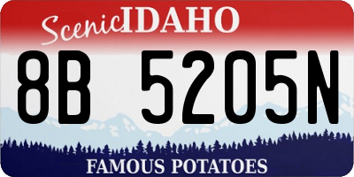 ID license plate 8B5205N