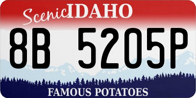 ID license plate 8B5205P
