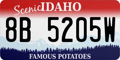 ID license plate 8B5205W