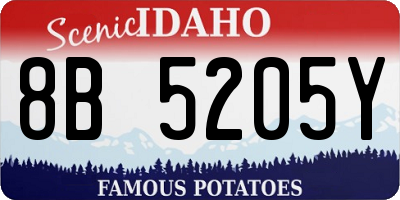 ID license plate 8B5205Y