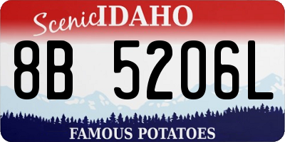 ID license plate 8B5206L