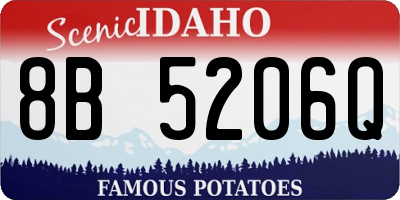 ID license plate 8B5206Q