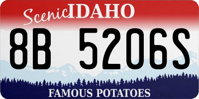 ID license plate 8B5206S