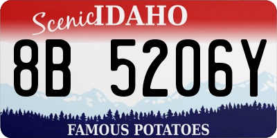 ID license plate 8B5206Y
