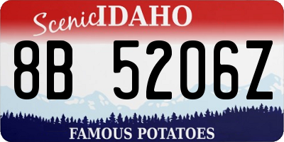 ID license plate 8B5206Z