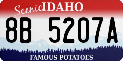 ID license plate 8B5207A