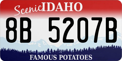 ID license plate 8B5207B