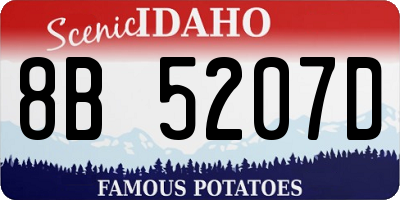 ID license plate 8B5207D