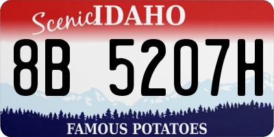 ID license plate 8B5207H
