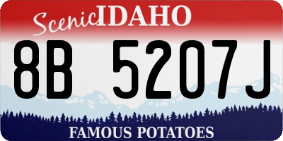 ID license plate 8B5207J
