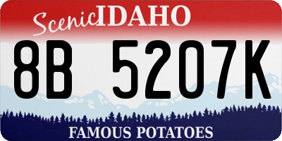 ID license plate 8B5207K