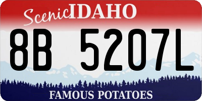 ID license plate 8B5207L