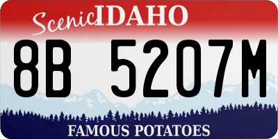 ID license plate 8B5207M