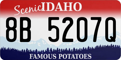 ID license plate 8B5207Q