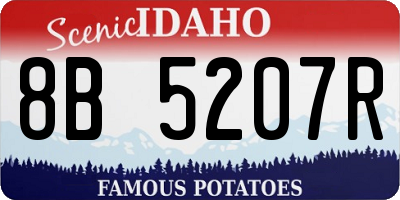 ID license plate 8B5207R