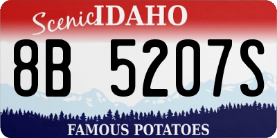 ID license plate 8B5207S