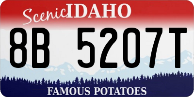 ID license plate 8B5207T