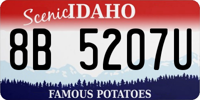 ID license plate 8B5207U