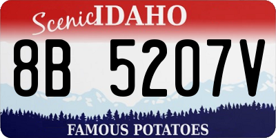 ID license plate 8B5207V