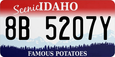 ID license plate 8B5207Y