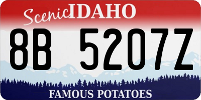 ID license plate 8B5207Z