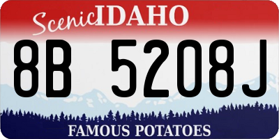 ID license plate 8B5208J