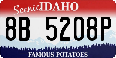 ID license plate 8B5208P