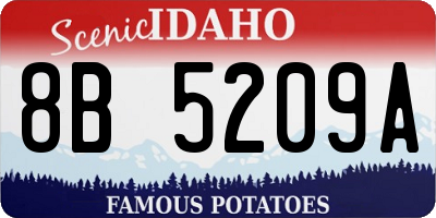 ID license plate 8B5209A