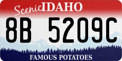 ID license plate 8B5209C