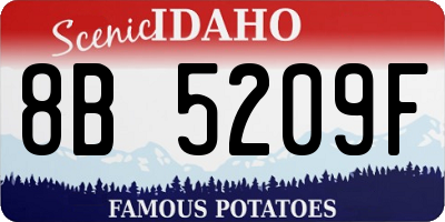 ID license plate 8B5209F
