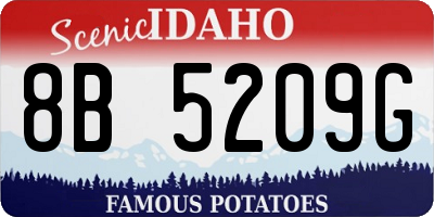 ID license plate 8B5209G