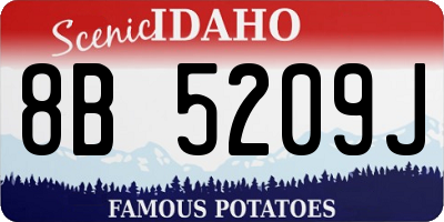 ID license plate 8B5209J
