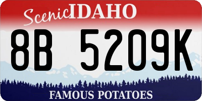 ID license plate 8B5209K