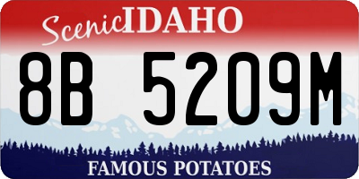 ID license plate 8B5209M